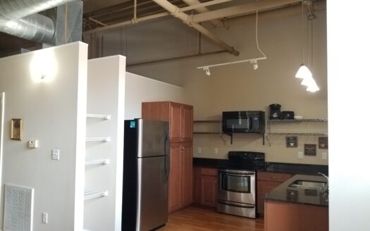 308 St. Louis Street # 103 Mobile, AL 36602