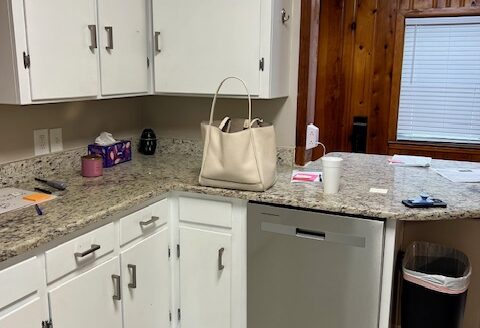 104 Hilltop Drive E Mobile, AL 36608
